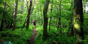 Beitragsbild des Blogbeitrags Trail-Genuß in der Toskana: Ultra Trail Mugello 