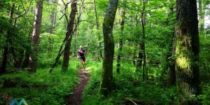 Beitragsbild des Blogbeitrags Trail-Genuß in der Toskana: Ultra Trail Mugello