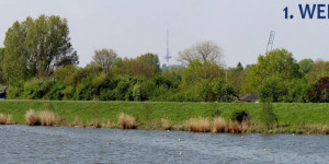 Beitragsbild des Blogbeitrags Bremens erster bestenlistenfähiger Ultramarathon - Bremens erste Marathonstaffeln!