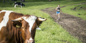 Beitragsbild des Blogbeitrags Ultra Trail World Tour 2021 