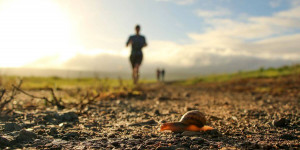 Beitragsbild des Blogbeitrags Crosslauf-WM 2022 in Australien abgesagt