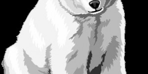 Beitragsbild des Blogbeitrags Eisbär-Cup 2022