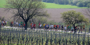 Beitragsbild des Blogbeitrags Ergebnisse Marathon Deutsche Weinstraße 2022 • [+ Fotos] 