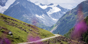 Beitragsbild des Blogbeitrags Ergebnisse Pitz Alpine Glacier Trail 2022 ➤ [+ Fotos] 