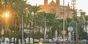 Beitragsbild des Blogbeitrags Strecke Mallorca Marathon - 2022