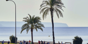 Beitragsbild des Blogbeitrags Die schönsten Fotos vom Mallorca Marathon 2022 [+ VIDEO] 