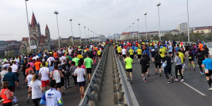Beitragsbild des Blogbeitrags Halbmarathons und Marathons in Wien ➤ Termine 2023