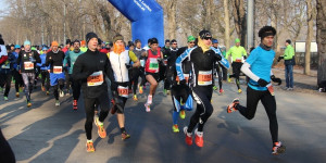 Beitragsbild des Blogbeitrags Eisbärlauf 2023 in Wien: Ergebnisse & Fotos