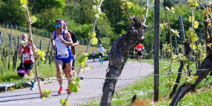 Beitragsbild des Blogbeitrags Ergebnisse Heilbronner Trollinger Marathon 2023 [+ Fotos] 