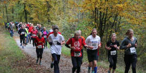 Beitragsbild des Blogbeitrags Laufcup Schwäbisch-Fränkischer Wald 2023