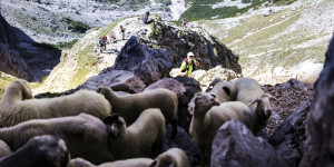 Beitragsbild des Blogbeitrags Trailruns und Bergläufe in Salzburg ➤ Termine 2023