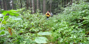 Beitragsbild des Blogbeitrags Trailruns und Bergläufe in Thüringen ➤ Termine 2023 