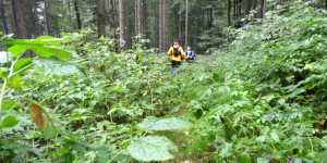 Beitragsbild des Blogbeitrags Trailruns und Bergläufe in Thüringen ➤ Termine 2023