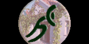 Beitragsbild des Blogbeitrags Weinviertler Laufcup 2024