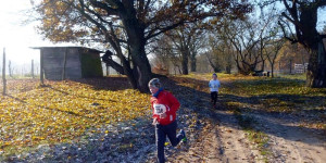 Beitragsbild des Blogbeitrags Crossläufe in Mecklenburg-Vorpommern ➤ Termine 2024
