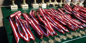 Beitragsbild des Blogbeitrags Crossläufe in Wien ➤ Termine 2024
