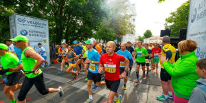 Beitragsbild des Blogbeitrags Halbmarathons und Marathons in Niederösterreich ➤ Termine 2024 