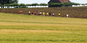 Beitragsbild des Blogbeitrags 10-Kilometer-Läufe 2024 in Österreich - Termine 