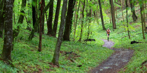 Beitragsbild des Blogbeitrags Trailruns und Bergläufe in Baden-Württemberg ➤ Termine 2024