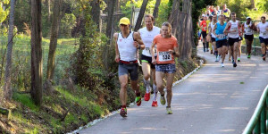 Beitragsbild des Blogbeitrags Trailruns & Bergläufe in Wien und im Burgenland ➤ Termine 2024 