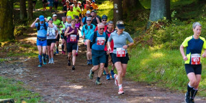 Beitragsbild des Blogbeitrags Ergebnisse Rennsteiglauf 2024 [+ Fotos] 