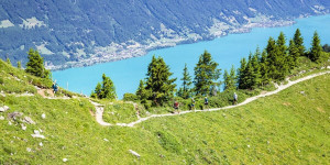 Beitragsbild des Blogbeitrags Ergebnisse Eiger Ultra Trail 2024 [mit Fotos] 