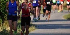 Beitragsbild des Blogbeitrags 14. Mistelbacher Panoramalauf 2016