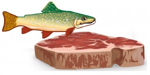 Beitragsbild des Blogbeitrags Die Sache mit fisch+fleisch, Ewald Stadler, Pegida und der Objektivität 