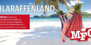 Beitragsbild des Blogbeitrags Anderswo: Im MFG-Magazin 01/2016