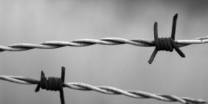 Beitragsbild des Blogbeitrags 90 Jahre Bücherverbrennung