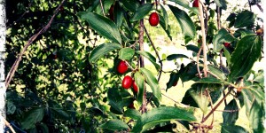 Beitragsbild des Blogbeitrags Daily Shot