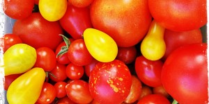 Beitragsbild des Blogbeitrags Daily Shot