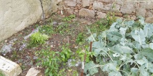 Beitragsbild des Blogbeitrags Hagel-Bombardement