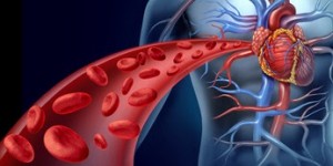 Beitragsbild des Blogbeitrags Wie Arterienverkalkungen loswerden? - Jak się pozbyć miażdżycy?