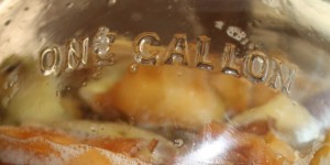 Beitragsbild des Blogbeitrags Ein Rezept für Apfelessig - Ocet jabłkowy-przepis