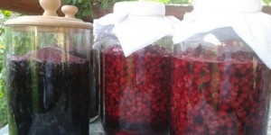 Beitragsbild des Blogbeitrags Vitamin D - Witamina D