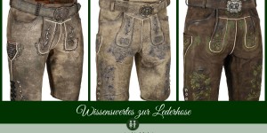 Beitragsbild des Blogbeitrags Wohnen in der Lederhose
