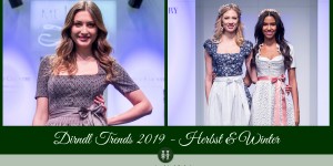 Beitragsbild des Blogbeitrags Dirndl Trends 2019 