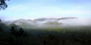 Beitragsbild des Blogbeitrags Vom Verschwinden