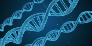 Beitragsbild des Blogbeitrags Genome Editing soll Vielfalt erhöhen