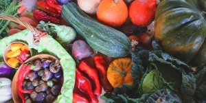 Beitragsbild des Blogbeitrags Klimafreundliche Landwirtschaft – was wäre wenn der Boden Recht hätte?
