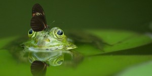 Beitragsbild des Blogbeitrags Was die Krise in uns wach küssen könnte