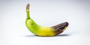 Beitragsbild des Blogbeitrags Wissen wir, was wir wegwerfen? 