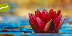 Beitragsbild des Blogbeitrags Mit Poesie die Welt retten?