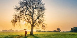 Beitragsbild des Blogbeitrags Die friedliche Wolke  Thich Nhat Than 