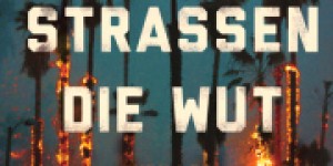 Beitragsbild des Blogbeitrags Ryan Gattis: In den Straßen die Wut 