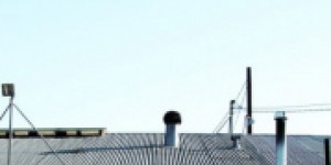 Beitragsbild des Blogbeitrags Garry Disher: Bitter Wash Road 