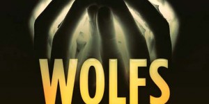 Beitragsbild des Blogbeitrags Krimis, die man 2016 lesen sollte (VIII)