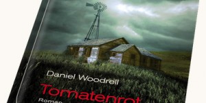 Beitragsbild des Blogbeitrags Trump ist US-Präsident: Warum jetzt jeder Country Noir lesen sollte 
