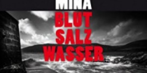 Beitragsbild des Blogbeitrags Denise Mina: Blut Salz Wasser 